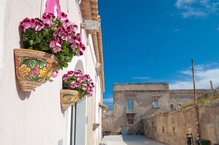 Decorated and flowered ceramic vases set into the wall of a house along the streets of Marzamemi, a small fishing village, southeastern Sicilyの写真素材