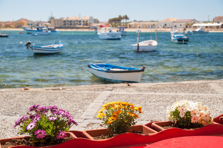 Flowered vases next to the harbor of the small sea village Marzamemi, Sicily, with fishing boatsの写真素材