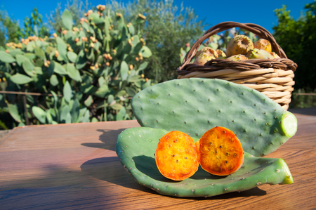Cut in half prickly pear, cactus leave and a wicker basket full of just picked prickly pears and a cactus tree in the backgroundの写真素材