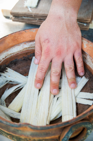 Hands of a papyrus artisan in Syracuse dunking thin strips obtained from the stem of the plant into the water mixed with antioxidantの写真素材