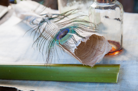 Rolled up papyrus paper leaf, a cut section of the plant and a typical quill pen laid on a papyrus layerの写真素材