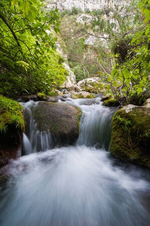 Water stream inside the canyon in the necropolis of Pantalica, Eastsicilyの写真素材