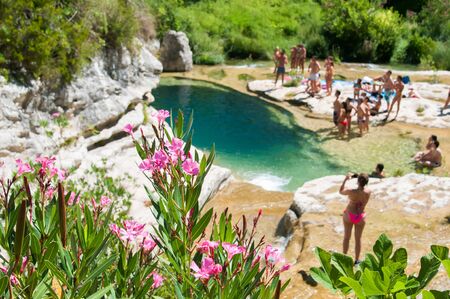 Flowered oleander tree in the natural reserve Cavagrande, Sicily, and one of its natural pools in the backgroundの写真素材