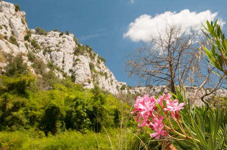 Cavagrande valley, Sicilyの写真素材