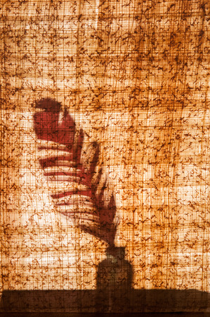 Papyrus sheet with its typical structure and texture and a quill pen behind itの写真素材