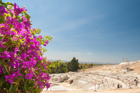 The famous greek theater of Syracuse, Sicily, with a flowered bougainvillae plant in the foregroundの写真素材