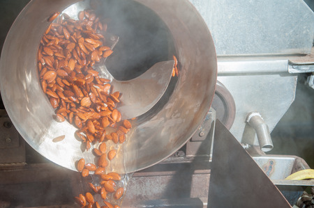Shelled almonds just after the blanching process ready for the peeling phaseの写真素材