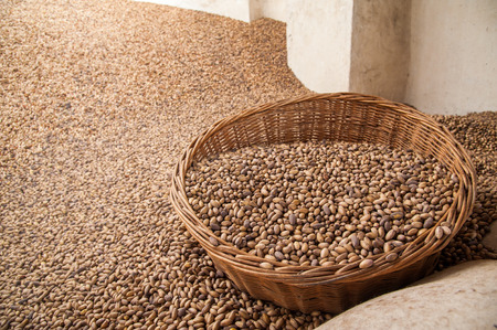 Big wicker basket full of pistachios of Bronte, Sicilyの写真素材