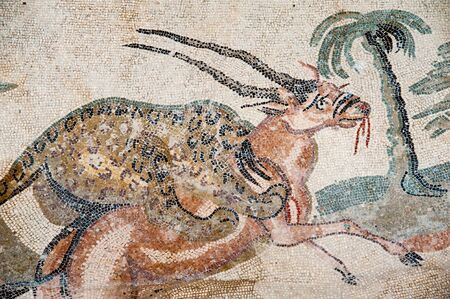 Closeup view of a tiger and an antilope on the floor of the ancient roman Villa del Casale of the 4th century A.C. in the town Piazza Armerina, Sicilyの写真素材