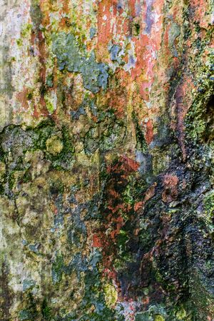 Close-up view of cracked paint layers on an old wall