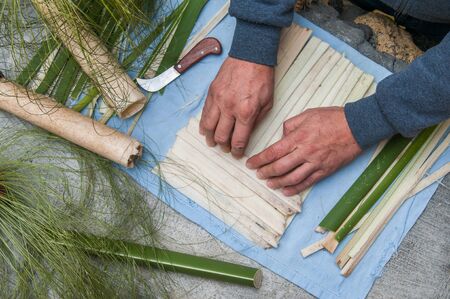 Artisan of the papyrus paper in Syracuse overlapping perpendicularly strips obtained from the stem of the plantの写真素材