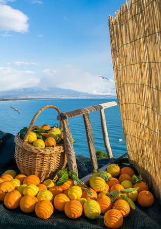 Oranges, lemons, wicker basket and wooden ladder with blue sea and Mount Etna in the backgroundの写真素材