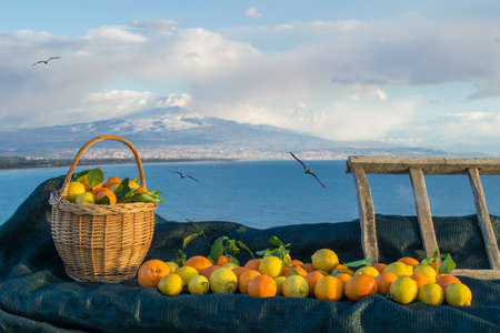 Oranges, lemons, wicker basket and wooden ladder with blue sea and Mount Etna in the backgroundの写真素材