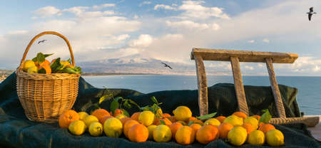Oranges, lemons, wicker basket and wooden ladder with blue sea and Mount Etna in the backgroundの写真素材