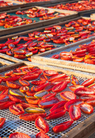Sun-dried tomatoesの写真素材