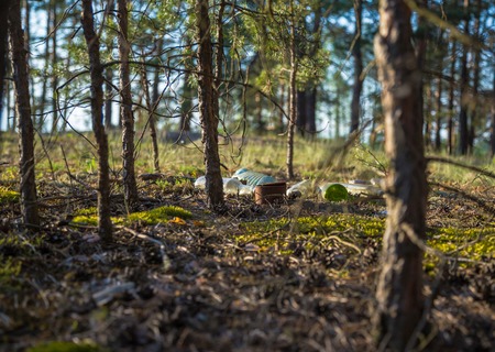 Garbage thrown in the woods. View through the trees. Details Close-upの写真素材