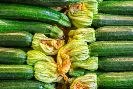 Zucchini for food background. Green zucchini in a box close up. Flowering zucchini. Zucchini on the counter farm market in Italy.の写真素材