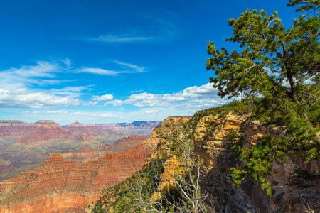 Grand Canyon in Arizona, USA. Skyline of Grand Canyon National Park. Panorama in beautiful nature landscape scenery at sunset in Grand Canyon National Park.の写真素材