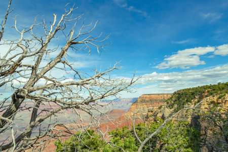 Grand Canyon in Arizona, USA. Skyline of Grand Canyon National Park. Panorama in beautiful nature landscape scenery at sunset in Grand Canyon National Park.の写真素材