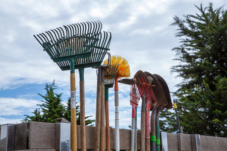 Garden tools, shovel, fork and rake against trees and sky, garden tools concept. Gardeners truck with the gardening tools in the gardens. Public service garden cleaning toolsの写真素材