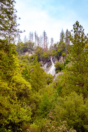 YOSEMITE FALLS IN YOSEMITE NATIONAL PARK, CALIFORNIA, USAの写真素材