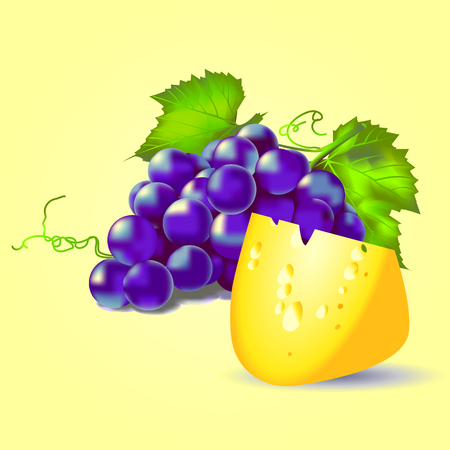 still life blue grapes and cheese on a yellow backgroundのイラスト素材