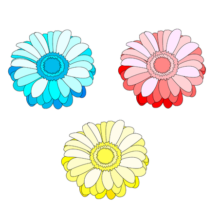 vector set of three flowers isolated on white background, blue, yellow and pink gerbera
のイラスト素材