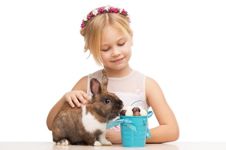 Little smiling girl feeding cute brown bunny with chocolate eggs, isolated on white backgroundの写真素材