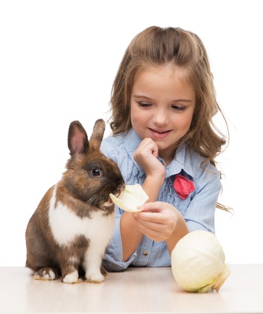 Cute girl feeding brown bunny with cabbage, isolated on white backgroundの写真素材