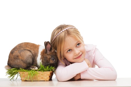Little girl is isolated on white background with cute brown bunny in grassの写真素材