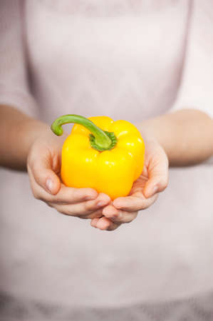 Close up photo of yellow paprika in female hands. Concept for cooking in the kitchenの写真素材