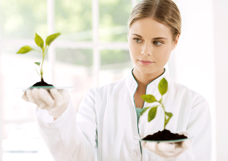 Beautiful young biologist experimenting in laboratory. Woman studying two green sproutsの写真素材