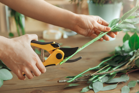Young woman florist occupation working with flowersの写真素材