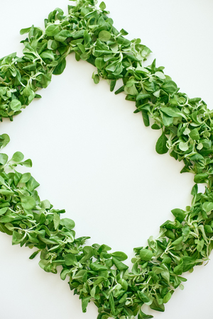 Green square from spinach leaves, isolated. Love healthy foodの写真素材