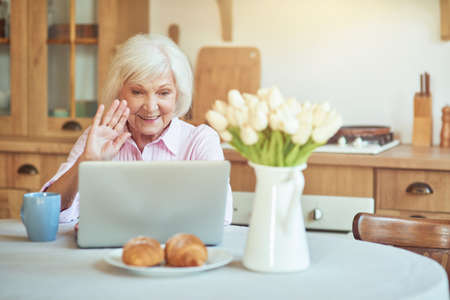 Smiling senior woman waving at screen while chatting during video callの写真素材