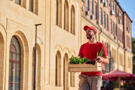 Young cheerful caucasian male courier in uniform looking aside and smiling while delivering wooden box with fresh green grocery, standing on sunny streetの写真素材