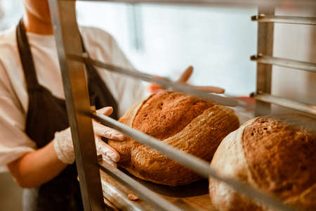 Baker takes loaf of fresh bread from rack in craft workshopの写真素材