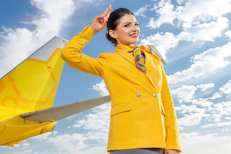 Joyful flight attendant standing against cloudy skyの写真素材