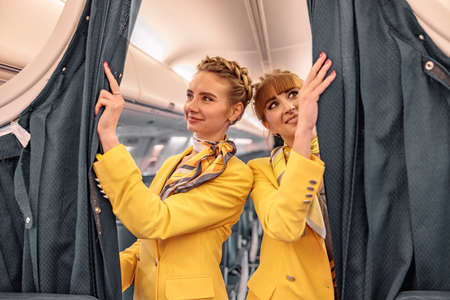Joyful flight attendants adjusting curtains in airplaneの写真素材