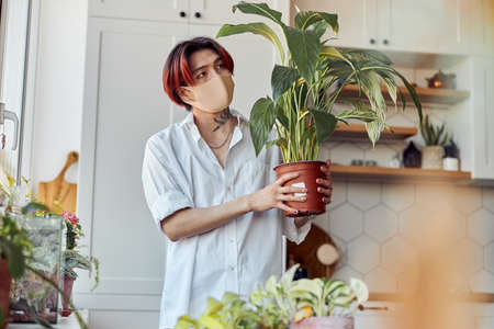 Young Asian man in mask holding flower pot with green plant near the windowの写真素材