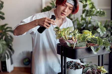 Asian man spraying water on indoor house plant
