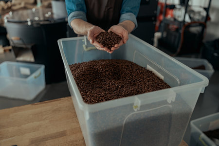 Male barista hands demonstrate freshly roasted coffee beansの写真素材