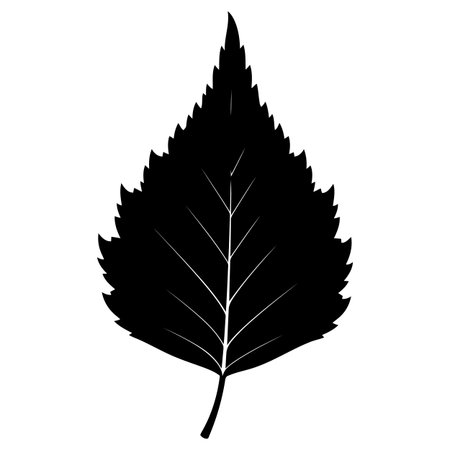 Simple Leaf Silhouette, Black Leaf Graphic, Natural Leafy Designのイラスト素材