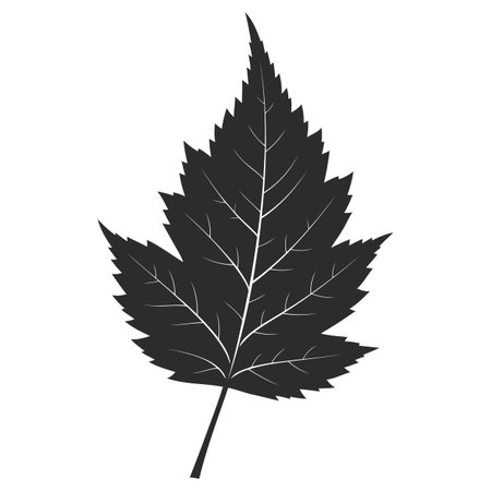 Simple Leaf Illustration, Detailed Leaf Silhouette, Autumn Leaf Graphicのイラスト素材