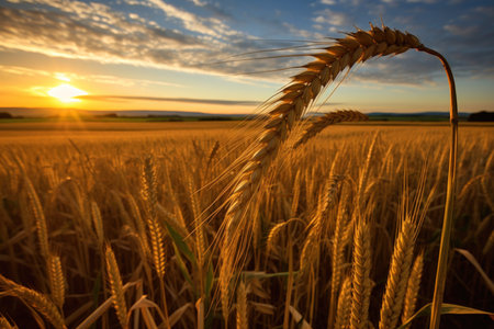 Golden Harvest - Generative AIの素材