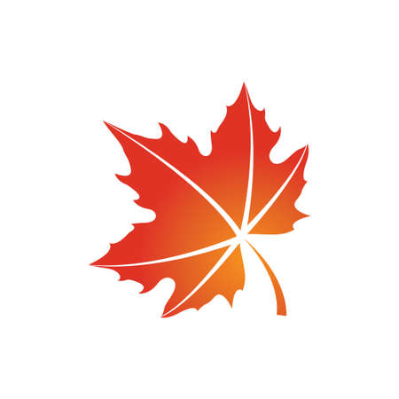 maple leaf graphic design vector