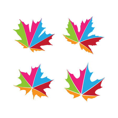 maple leaf graphic design vector
