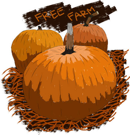 free farm pumpkinのイラスト素材
