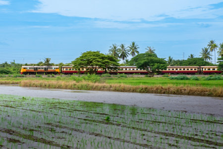 Railway passing through rice field in the countryside of Thailand.の写真素材