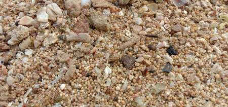 stone and sand at beach
